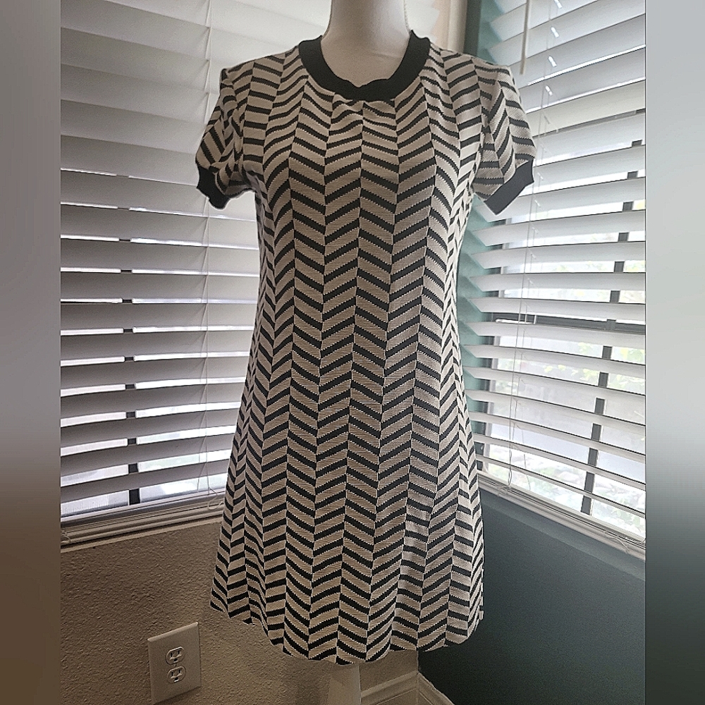 Black and White Zara Mini Dress